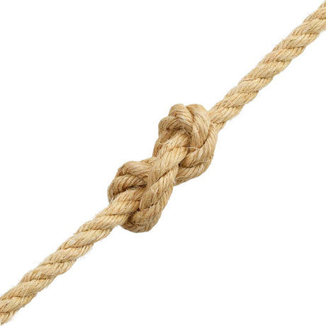 Vidaxl -Seil 20 mm 50 m 100% Schwestern
