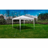 Vidaxl Garden Practor mit Pyramidendach 3x3 m