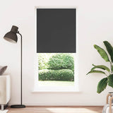Vidaxl Roller Blind verdämmen 120 x 230 cm schwarz