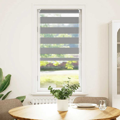 Vidaxl Duo Roller Blind 60x120 cm Grau