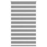 VidaXL Zebra-Rollo 100,9 x 175 cm, Stoffbreite 96,7 cm, Grau