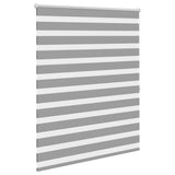 VidaXL Zebra-Rollo 140,9 x 175 cm, Stoffbreite 136,7 cm, Grau