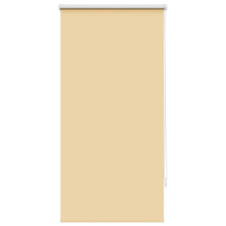 Vidaxl Verdunkelungsrollo 60 x 120 cm Beige