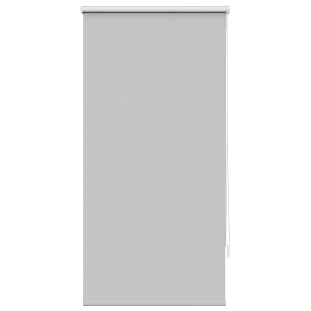Vidaxx Verdunkelungsrollo 60 x 120 cm grau