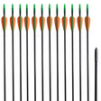 Vidaxl Recurveboog Standard mit Pfeilen 30 0,6 cm Faser 12 Teile