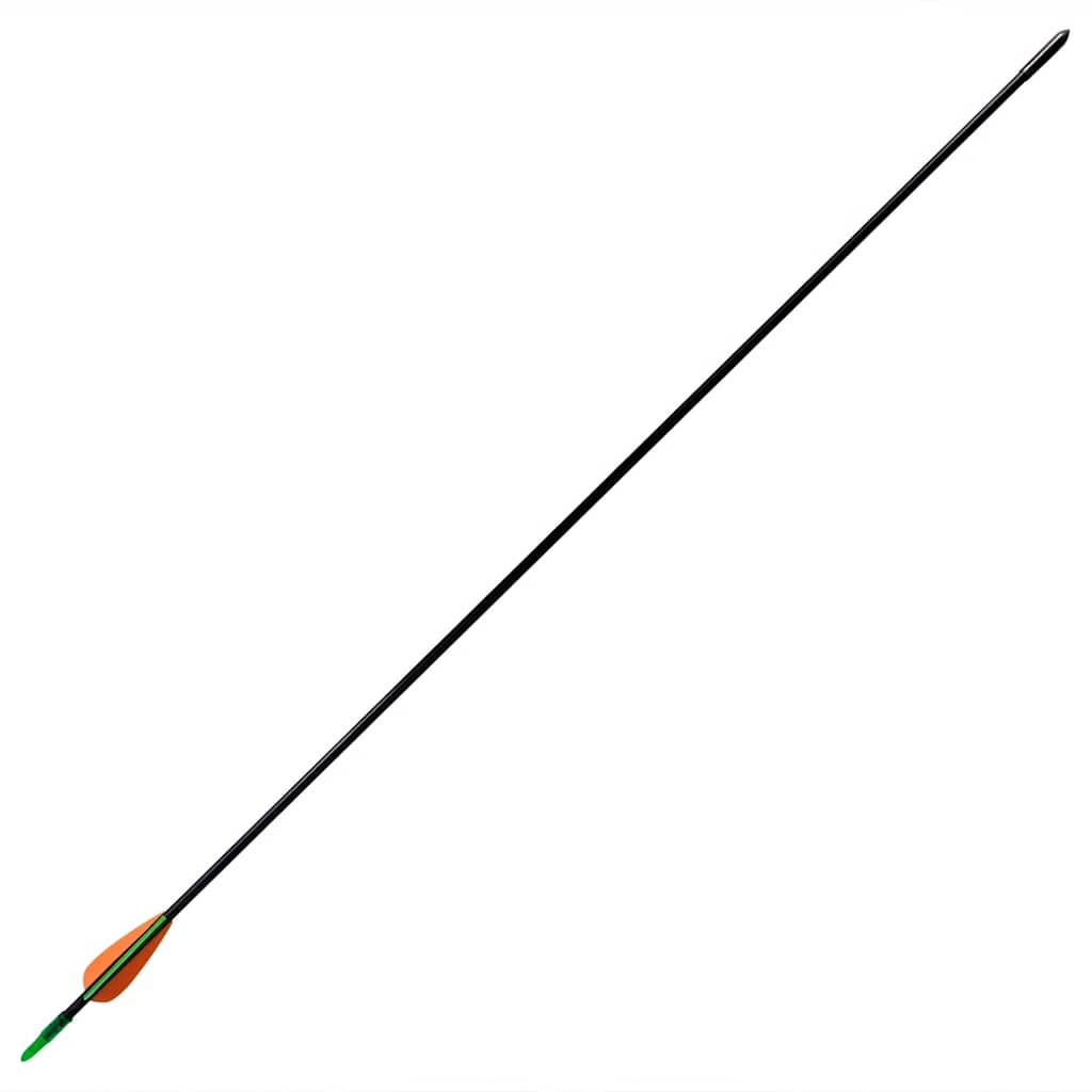 Vidaxl Recurveboog Standard mit Pfeilen 30 0,6 cm Faser 12 Teile