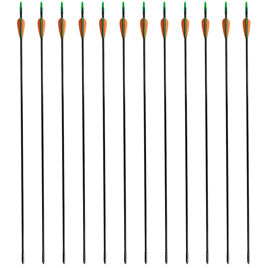 Vidaxl Recurveboog Standard mit Pfeilen 30 0,6 cm Faser 12 Teile