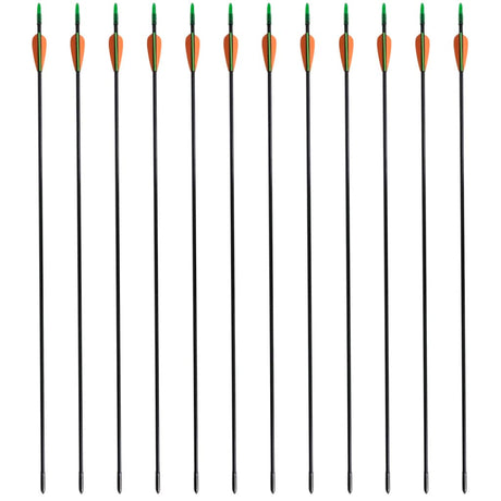 Vidaxl Recurveboog Standard mit Pfeilen 30 0,6 cm Faser 12 Teile
