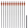 Vidaxl -Pfeile für Recurvebog Standard 30 0,76 cm Kohlenstoff 12 Teile