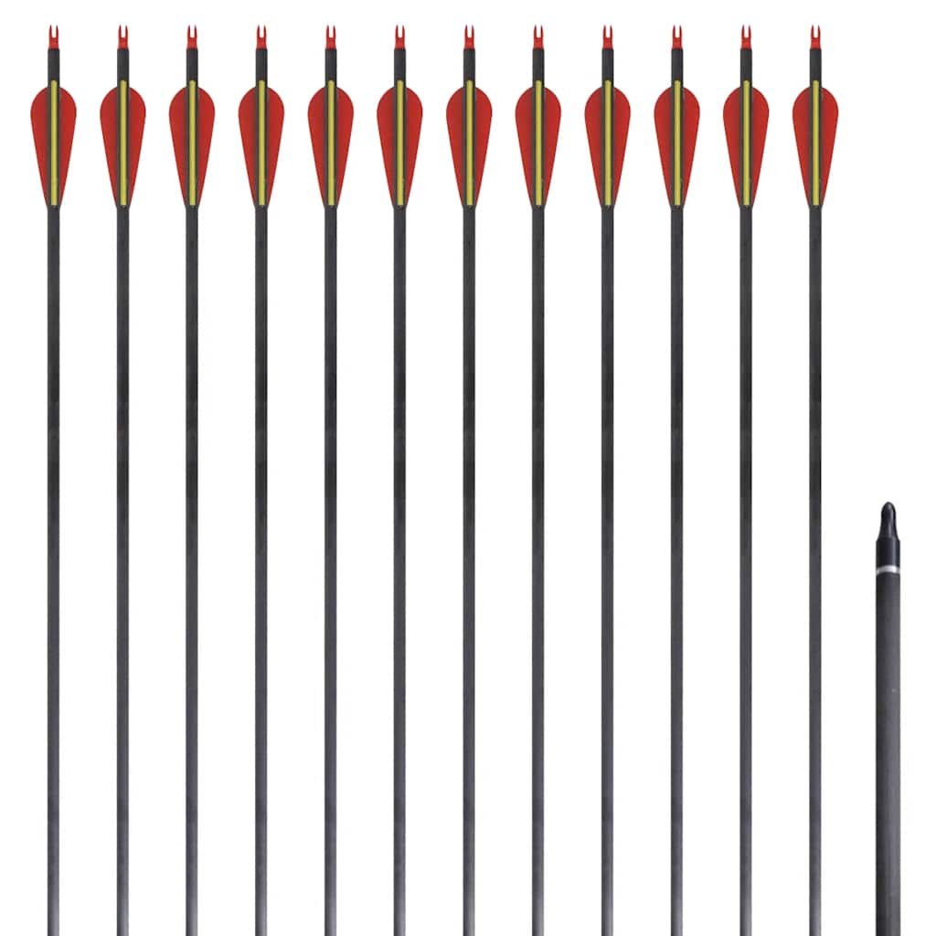Vidaxl -Pfeile für Recurvebog Standard 30 0,76 cm Kohlenstoff 12 Teile