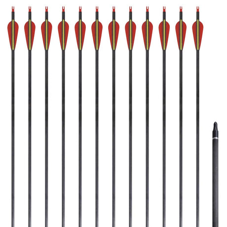 Vidaxl -Pfeile für Recurvebog Standard 30 0,76 cm Kohlenstoff 12 Teile