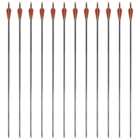 Vidaxl -Pfeile für Recurvebog Standard 30 0,76 cm Kohlenstoff 12 Teile