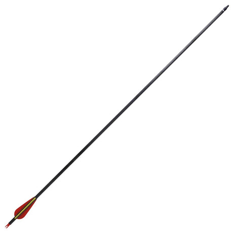 Vidaxl -Pfeile für Recurvebog Standard 30 0,76 cm Kohlenstoff 12 Teile