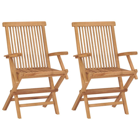 Vidaxl set van 2 klapstoelen met armleuningen, gemaakt van teakhout.