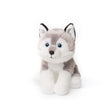 Acp sitting husky 15 cm