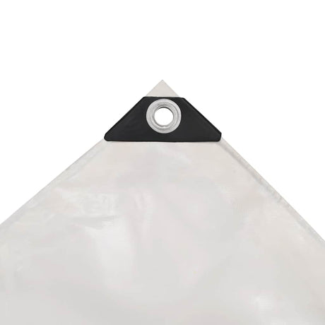 VIDAXL -Gerät 650 g m² 5x6 m Weiß