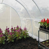 Vidaxl Greenhouse 4,5 m² 300 x 1550 x 200 cm