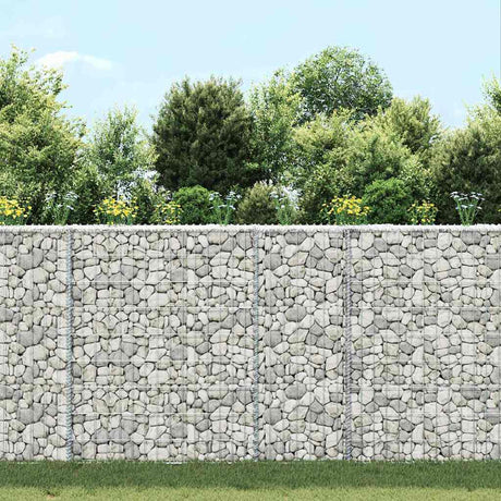 Vidaxl Gabion Planning Bucks Trapez 80x20x100 cm verzinkter Stahl