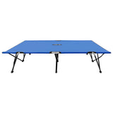 Vidaxl ligbed 2-persoons inklapbaar staal blauw
