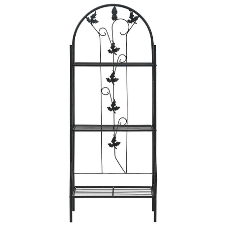 Vidaxl Plant Rack 3-Layer 52x28x128 cm Eisenschwarz