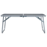 Vidaxl Camping Tabelle zusammenklappbar 60 x 40 cm Aluminiumgrau