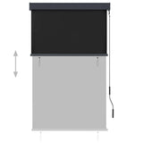 Vidaxl rolgordijn voor buiten 100x250 cm antraciet
