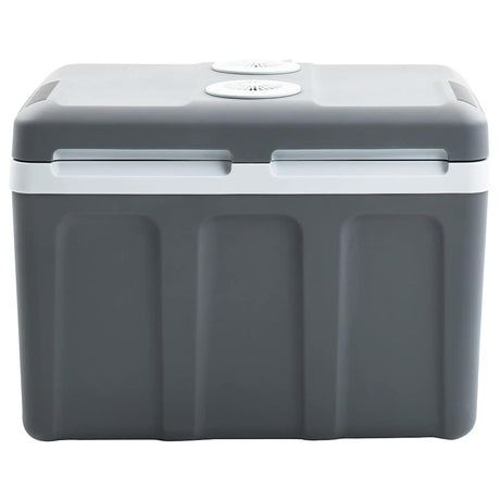 Vidaxl Cool Box Thermoelektrisch tragbar 12 V 230 V E 40 l
