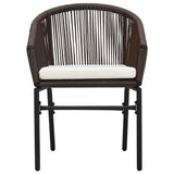 Vidaxl tuinstoelen 2 st pe-rattan bruin