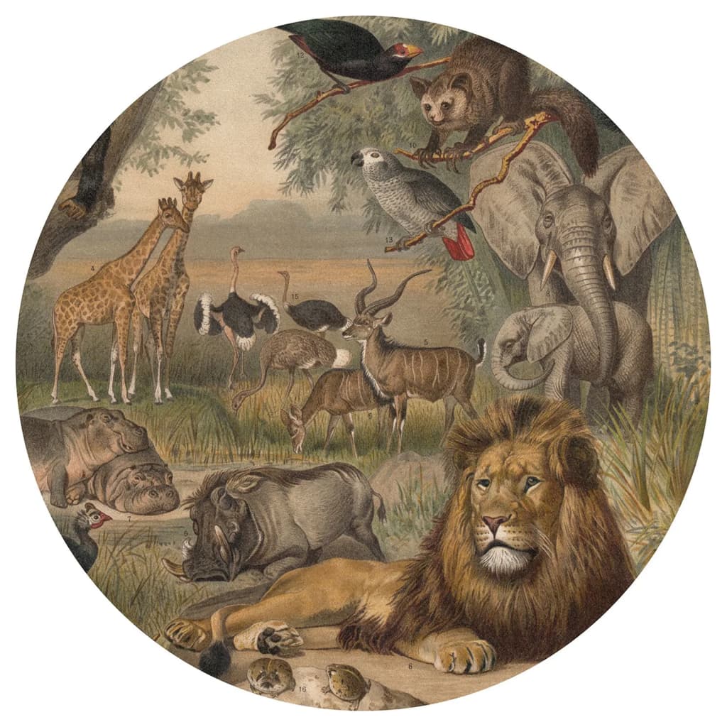 Wallart Wallow Circle Tiere Afrikas 142,5 cm