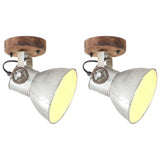 VIDAXL -Wand Deckenlampen Industrial 2 ST E27 20x25 cm Silberfarbe