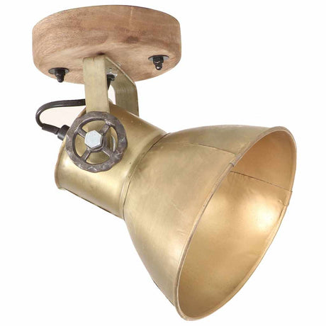 VidaXL Wand- und Deckenleuchten Industrie 2 Stk. E27 20x25 cm messingfarben