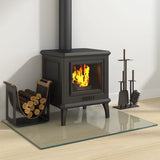 Vidaxx Glasplattenkamin rechteckig 80x60 cm