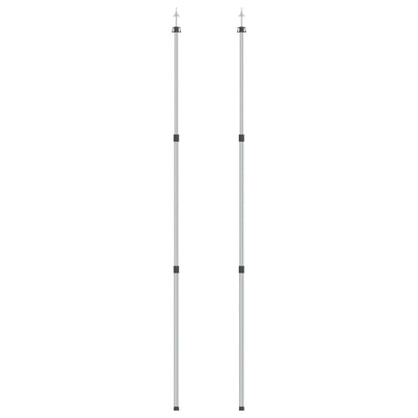 Vidaxl Laifel Sticks 2 PC Telescopic 102-260 cm Aluminium