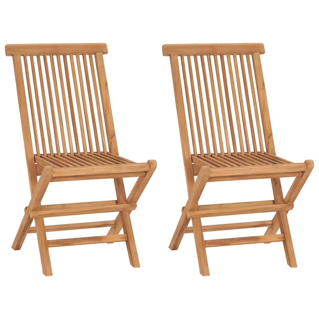 Vidaxl tuinstoelen 2 st inklapbaar massief teakhout