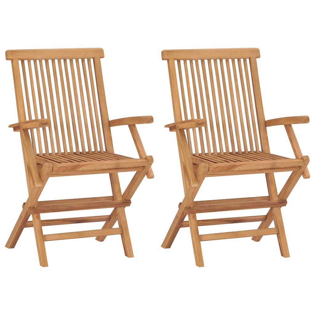 Vidaxl tuinstoelen 2 st inklapbaar massief teakhout