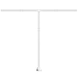 Vidaxl Laifel Pole Set 300x245 cm Eisenweiß