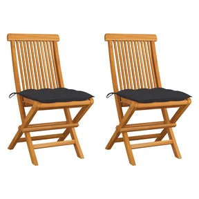 Vidaxl inklapbare stoelen 2 st met antracietkleurige kussens