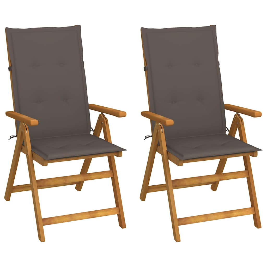 Vidaxl inklapbare stoelen 2 st verstelbaar met kussens