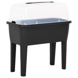 VIDAXL -Planungsbox erhöht 77x38.7x82 cm pp