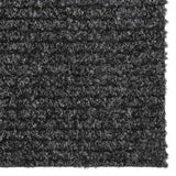 Vidaxl droogloopmat 100x250 cm anthrazit -gelöscht
