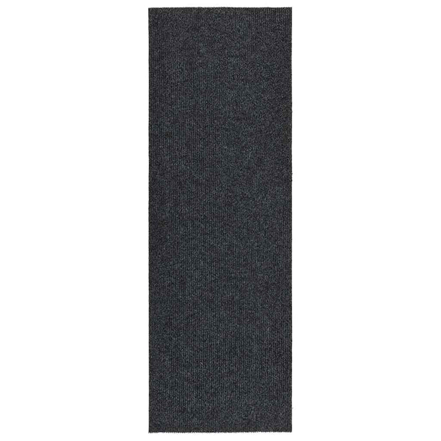 Vidaxl droogloopmat 100x300 cm anthrazit -geläutet