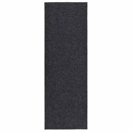 Vidaxl droogloopmat 100x300 cm anthrazit -geläutet