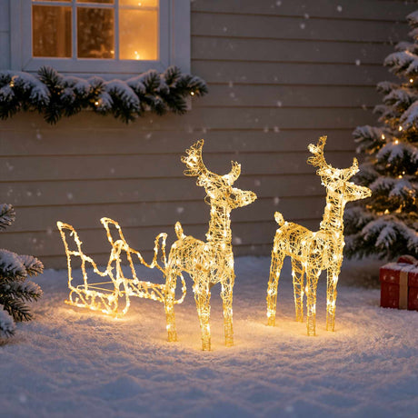 Vidaxl Weihnachtsdekorationen Rentier und Schlitten 160 LEDs 130 cm Acryl