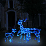 Vidaxl 3-teilige Weihnachtsbeleuchtung Rendieren 229 LEDs
