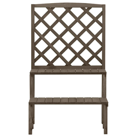 VIDAXL -Pflanzenregal mit SLAT 70x42x115 cm Festes Poring Grau
