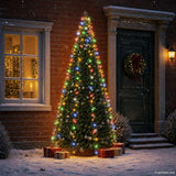 Vidaxx Weihnachtsbaumbeleuchtung mit 250 LEDs, mehrfarbiges Netz, 250 cm