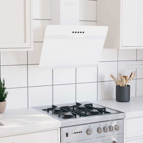 Vidaxl Wandextraktionshaube 60 cm Stahl und geschmittertes Glasweiß