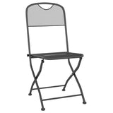 Vidaxl tuinstoelen inklapbaar 4 st metaalgaas antracietkleurig
