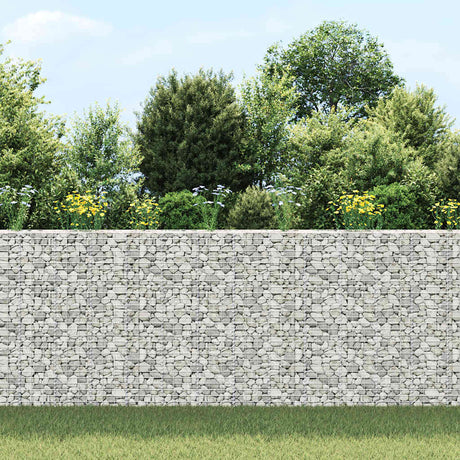 Vidaxl Schanskorf Pflanzer 3 ST erhöht 30 x 30 x 1550 cm Eisen
