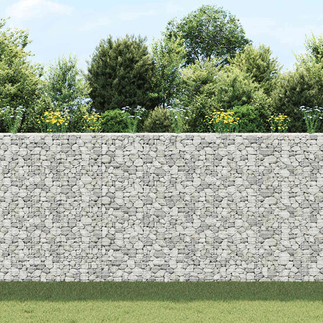 Vidaxl Schanskorf Pflanzer 3 ST erhöht 30 x 30 x 24 cm Eisen